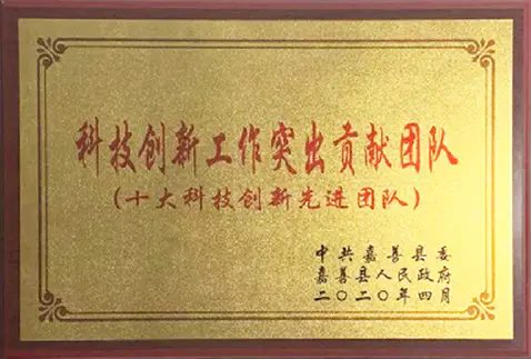 2020 Top Ten Advanced Teams in Scientific and Technological Innovation